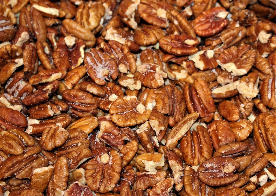 Roasted Salted Pecans 1 LB Bag Superior Pecans & Gifts