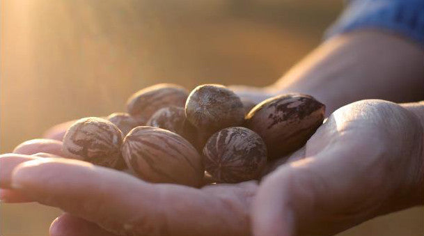 Down home, down the street, Superior Pecans are now at Piggly Wiggly!