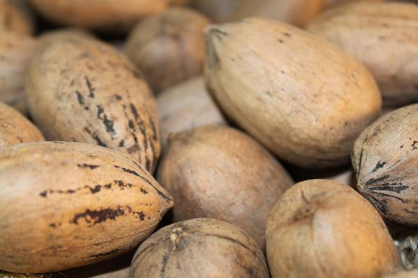 Natural "Raw" Pecans